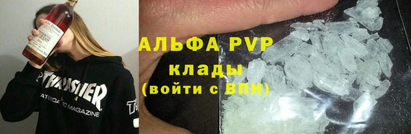 прущие крисы Надым