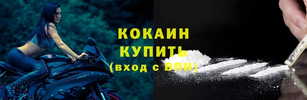 шишки Богородицк